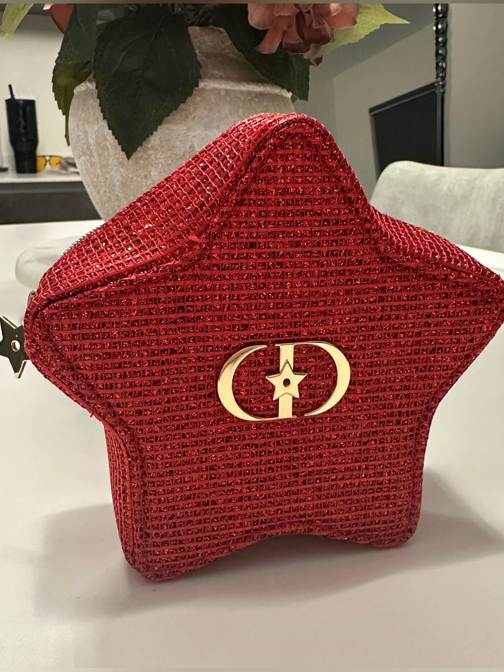 Dior Cosmetic Case - Red Star